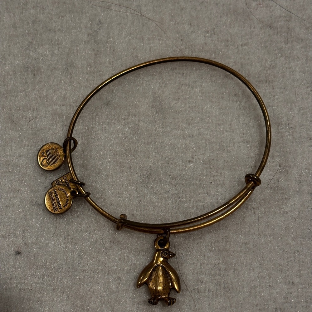 Alex and ani bangle bracelet